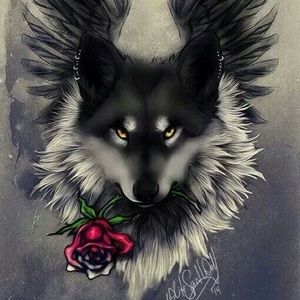 Meet your Posher, Naomi